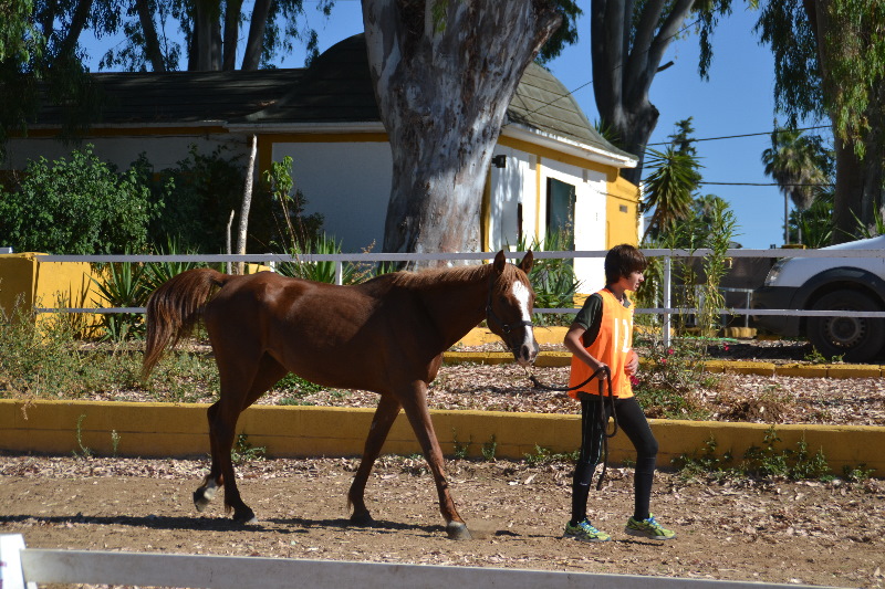 El Corzo 089.jpg