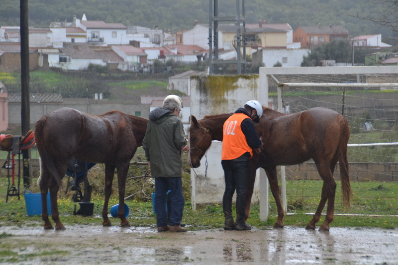 Taliga 099.jpg