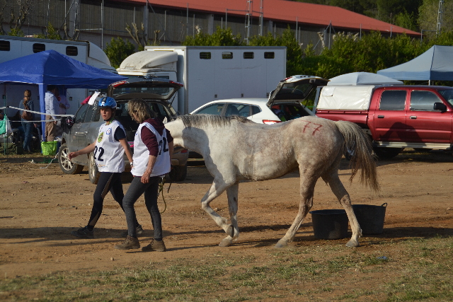 Badajoz 259.jpg