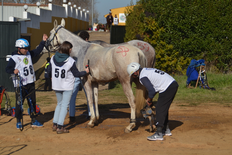 Badajoz 125.jpg