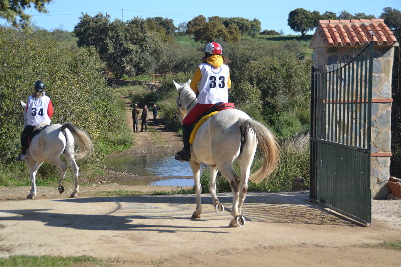 Nogales 061.jpg