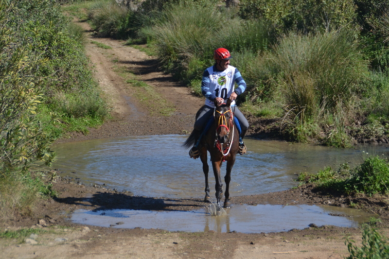 Nogales 075.jpg