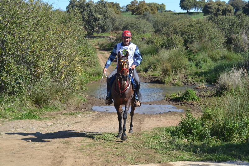 Nogales 076.jpg