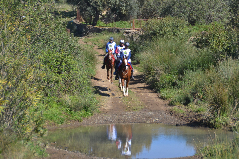 Nogales 085.jpg