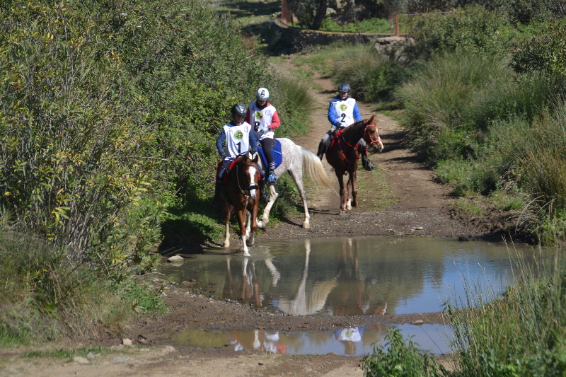 Nogales 086.jpg