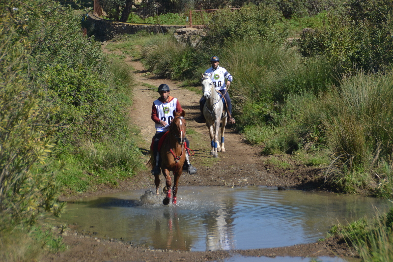 Nogales 090.jpg