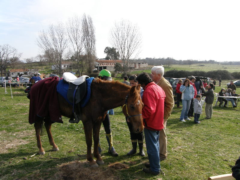 Plasencia065.jpg