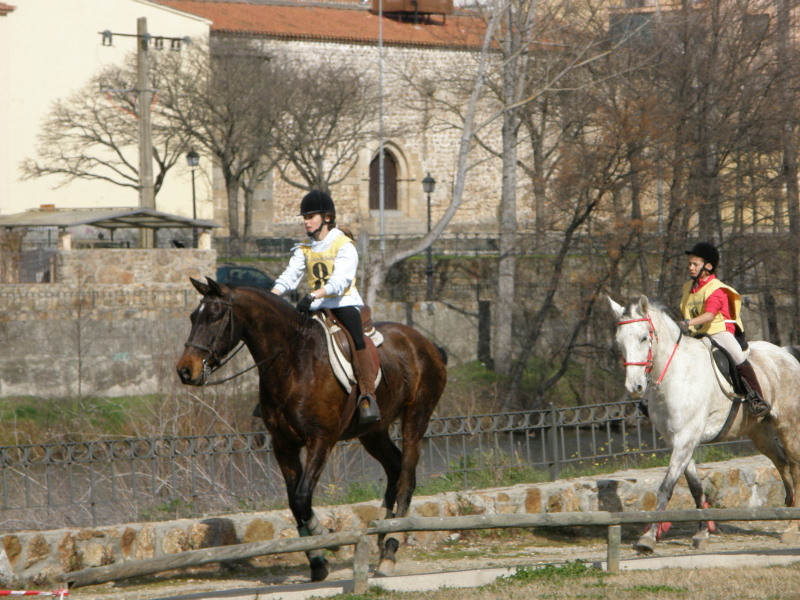 Plasencia110.jpg