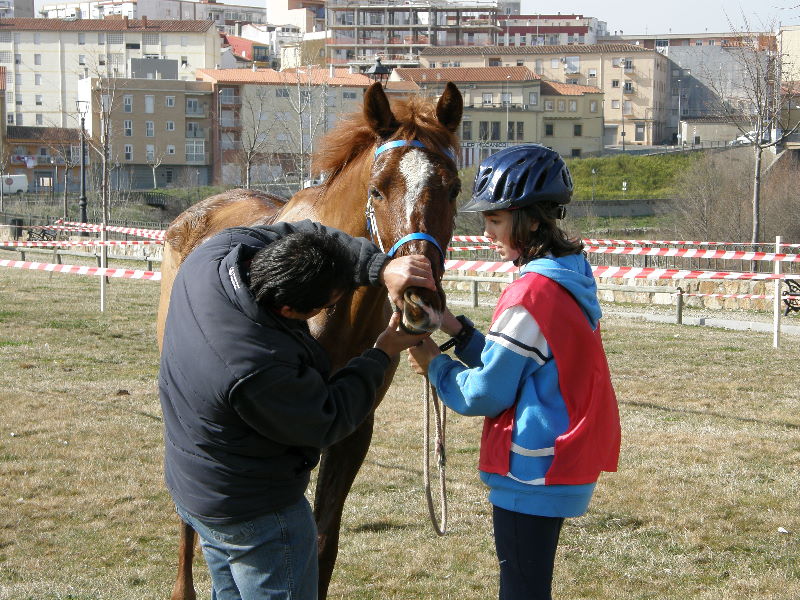 Plasencia116.jpg