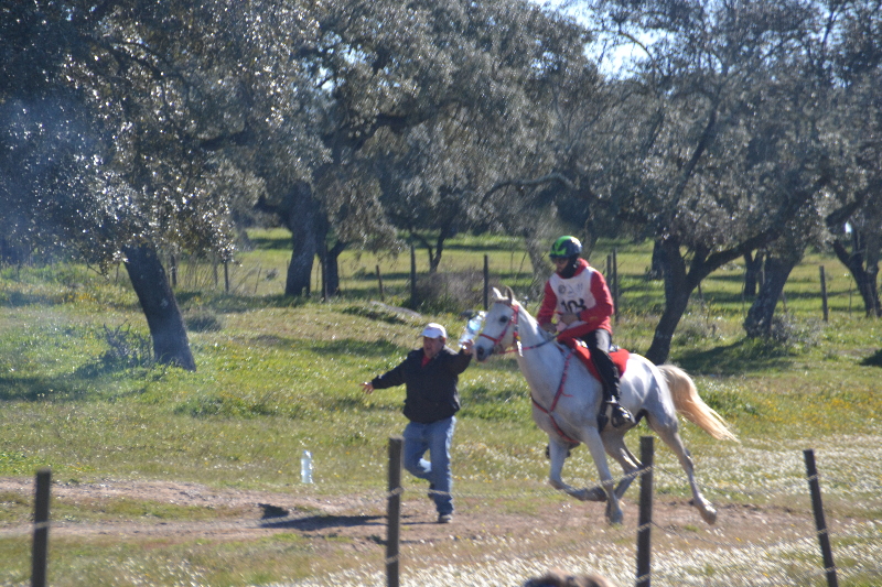  Santa Eulalia 197.jpg