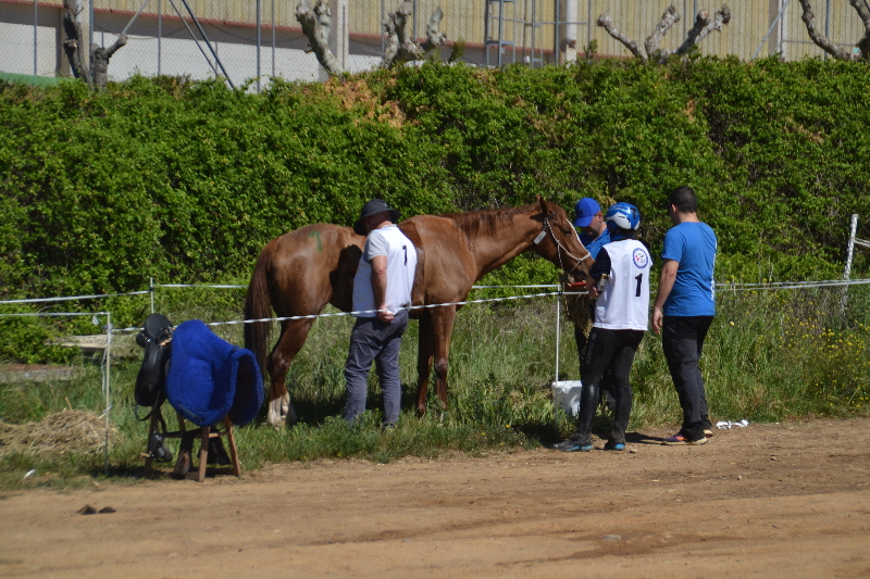 Badajoz 253.jpg