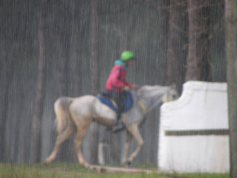 El Rocio032.jpg