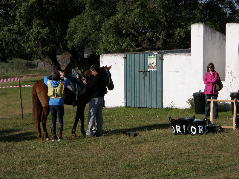 Arroyo de la Luz020.jpg