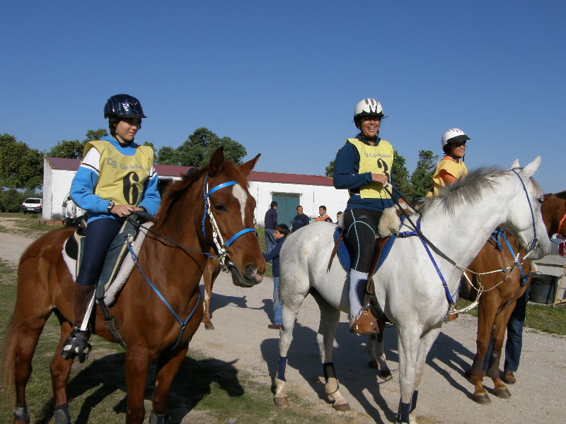 Arroyo de la Luz031.jpg