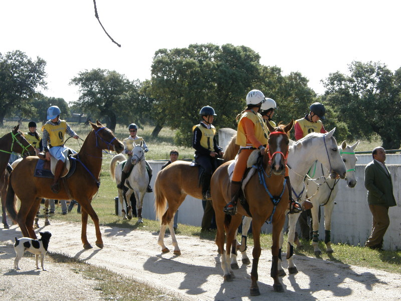 Arroyo de la Luz033.jpg