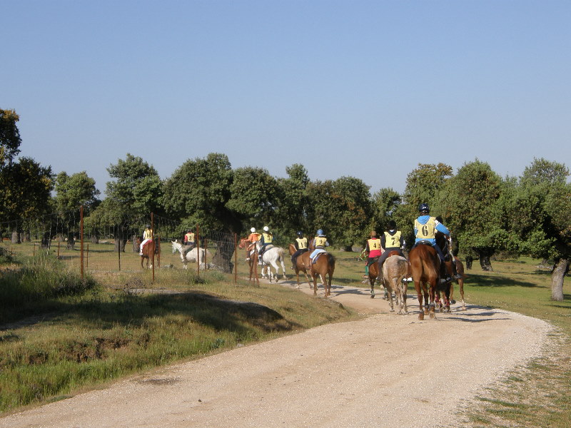 Arroyo de la Luz036.jpg