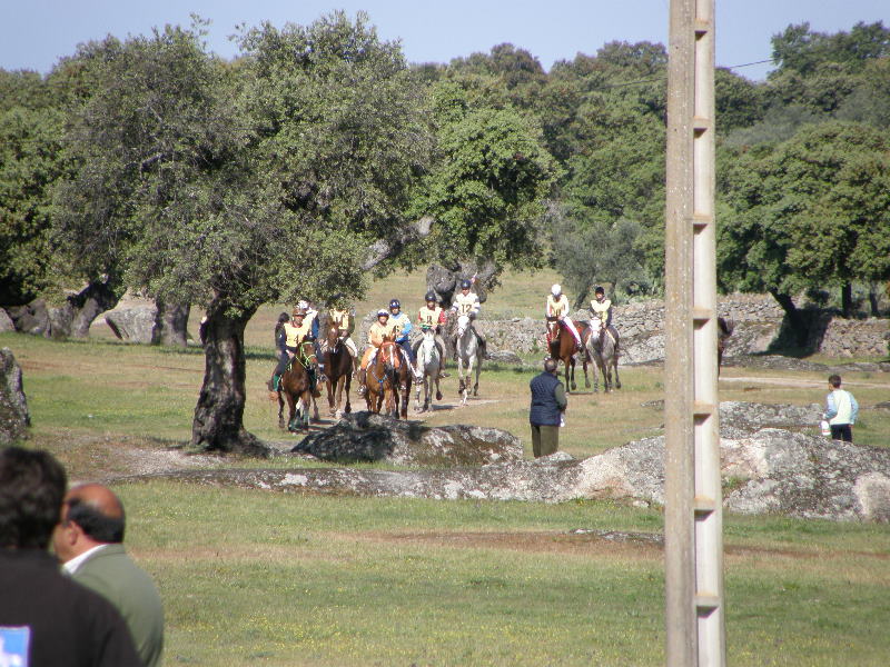 Arroyo de la Luz042.jpg