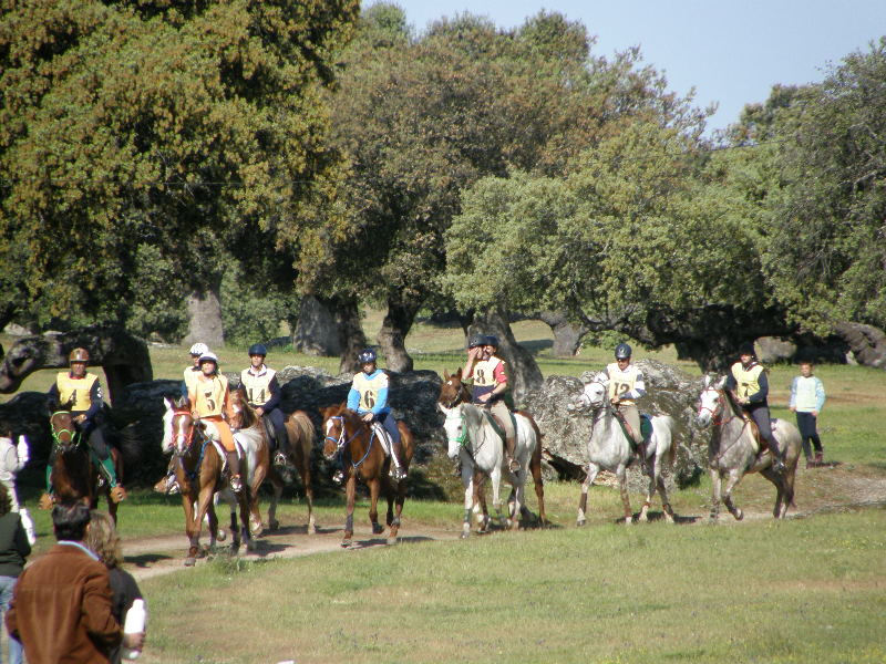 Arroyo de la Luz043.jpg