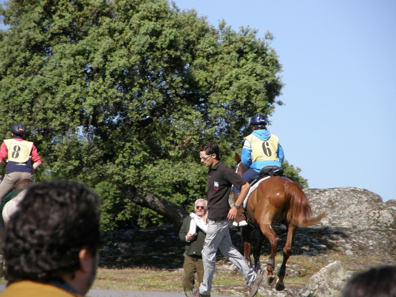 Arroyo de la Luz050.jpg