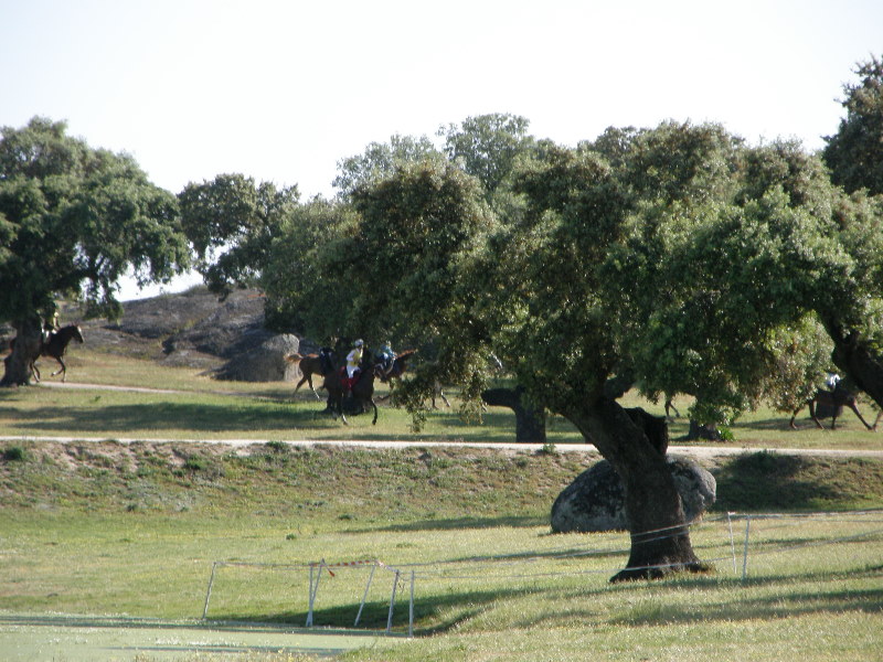 Arroyo de la Luz051.jpg