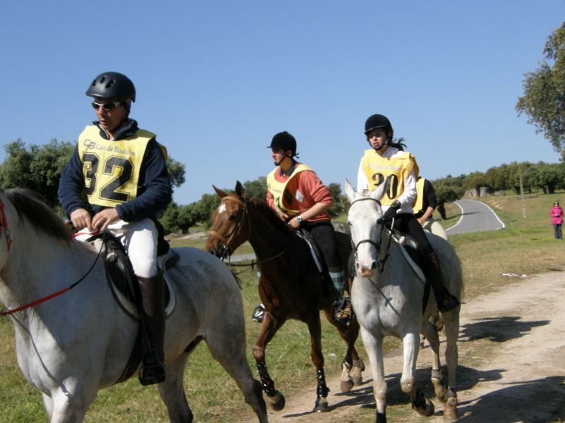 Arroyo de la Luz059.jpg