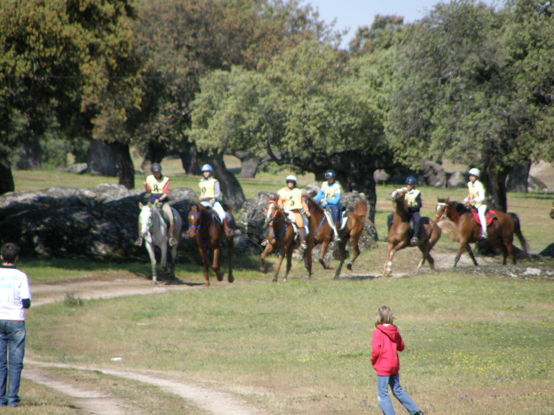 Arroyo de la Luz060.jpg