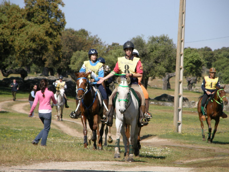 Arroyo de la Luz062.jpg