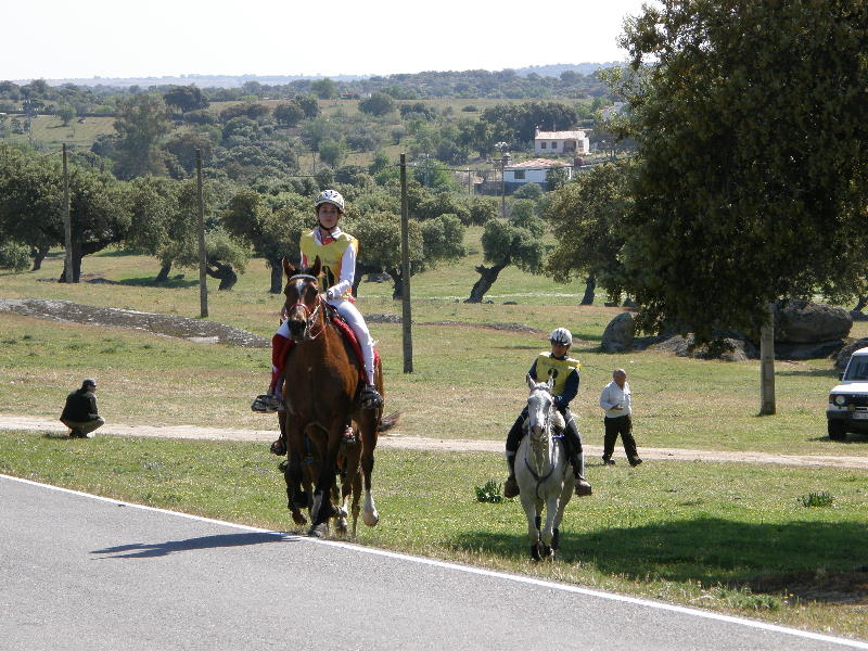 Arroyo de la Luz069.jpg