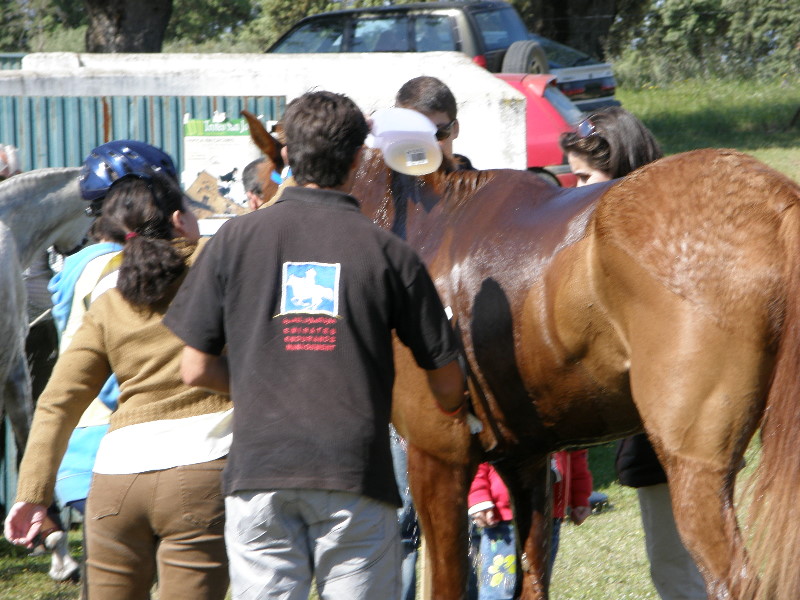 Arroyo de la Luz073.jpg