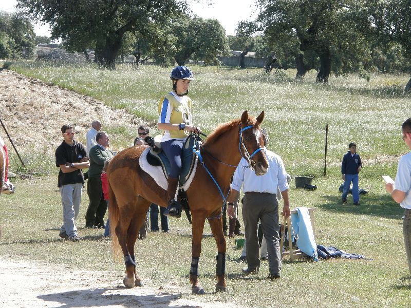 Arroyo de la Luz081.jpg