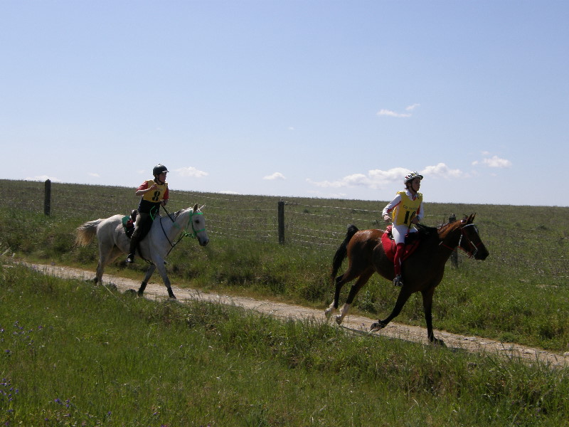 Arroyo de la Luz086.jpg