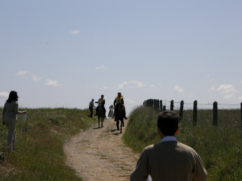 Arroyo de la Luz088.jpg