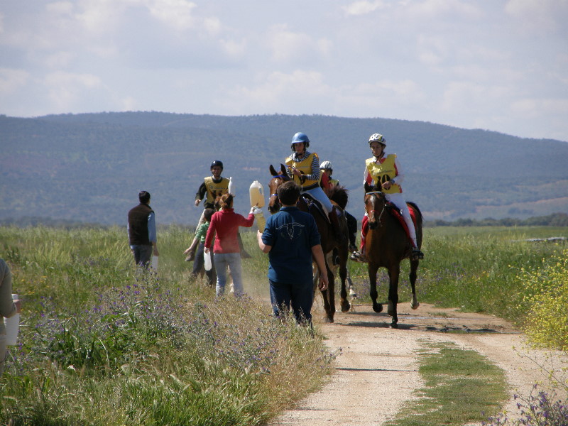 Arroyo de la Luz090.jpg