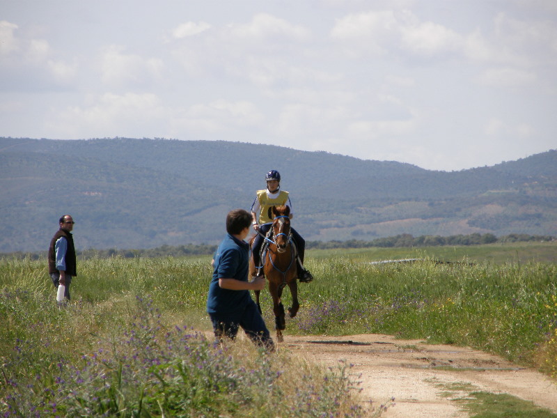 Arroyo de la Luz091.jpg