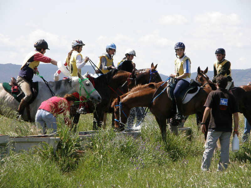 Arroyo de la Luz093.jpg