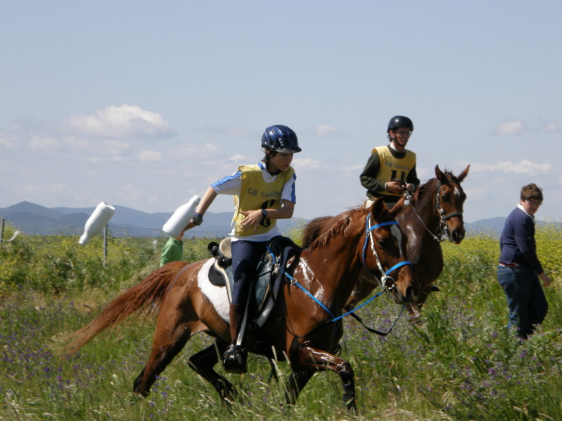 Arroyo de la Luz095.jpg