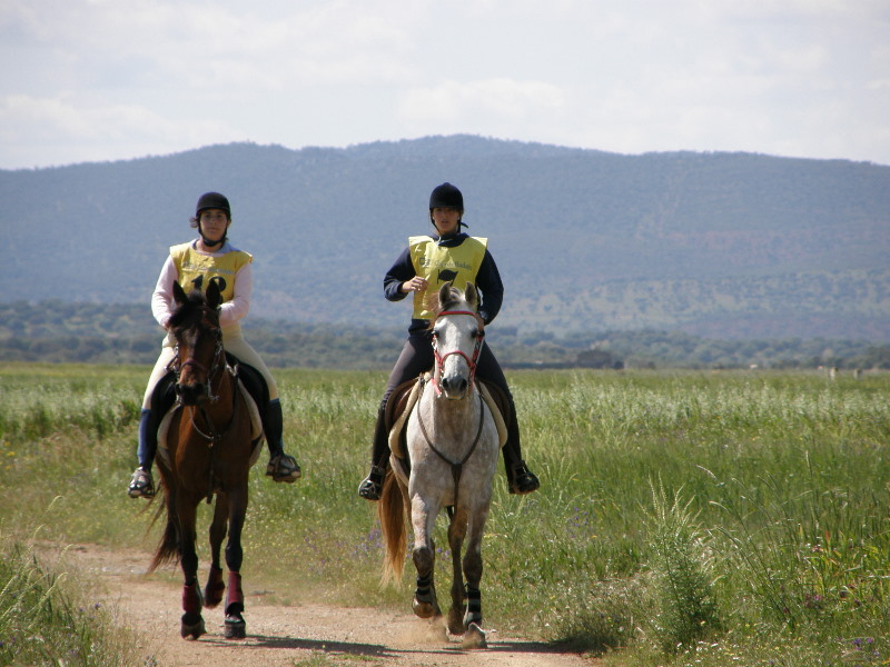 Arroyo de la Luz098.jpg