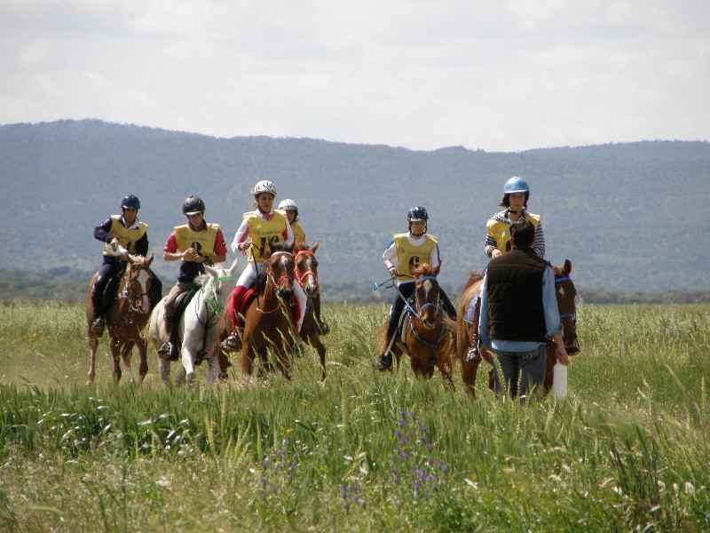 Arroyo de la Luz104.jpg