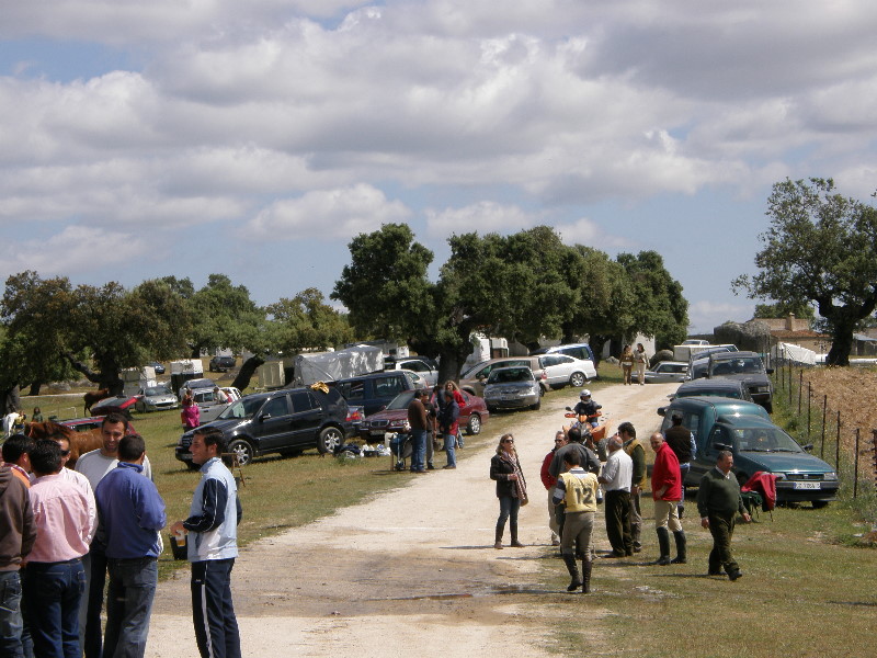 Arroyo de la Luz109.jpg