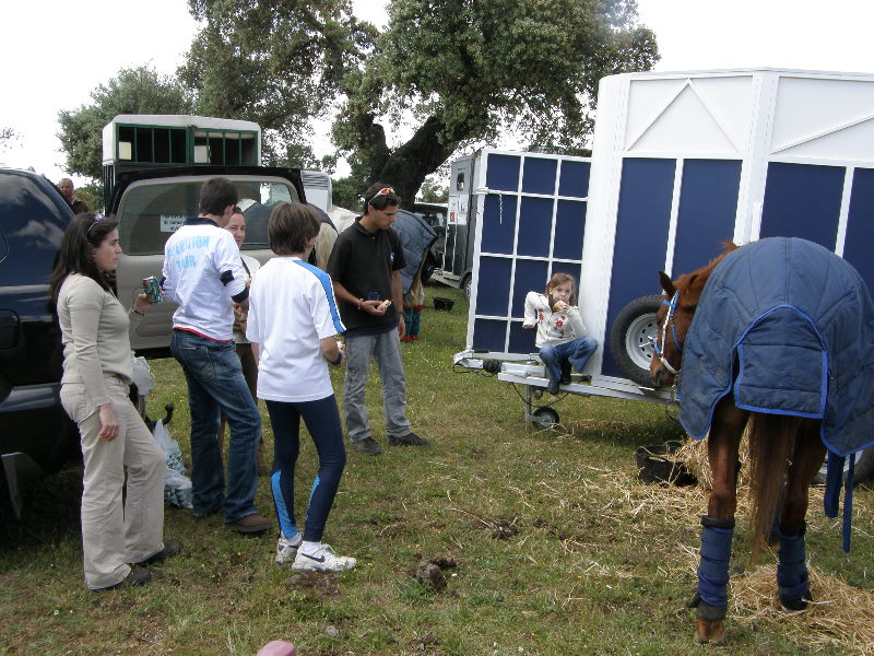 Arroyo de la Luz111.jpg