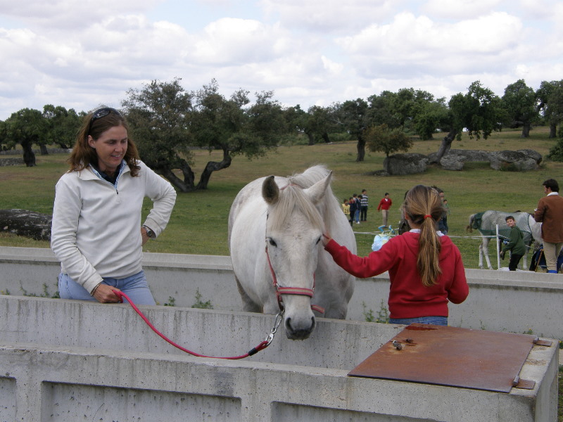 Arroyo de la Luz113.jpg