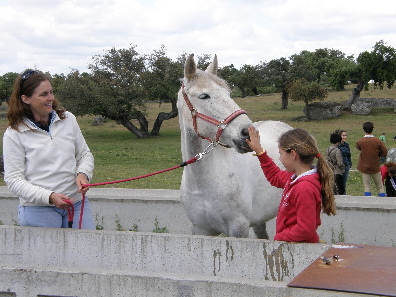 Arroyo de la Luz114.jpg