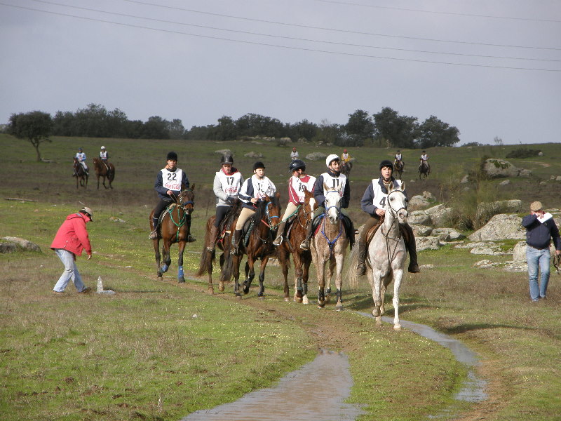 Santa Eulalia 038.jpg