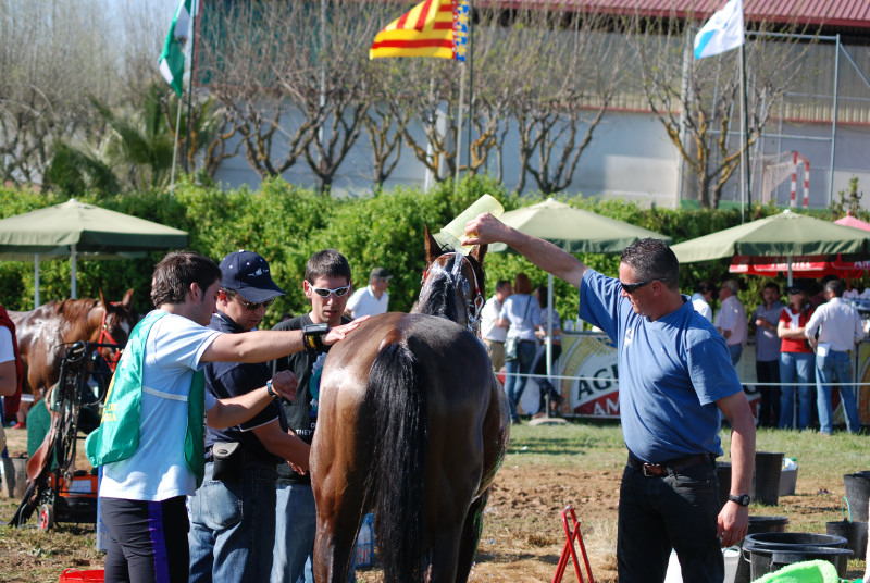 Badajoz 105.JPG