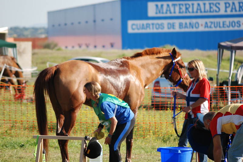 Badajoz 119.JPG