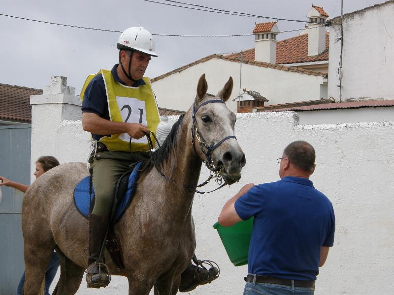 Caceres 16.jpg