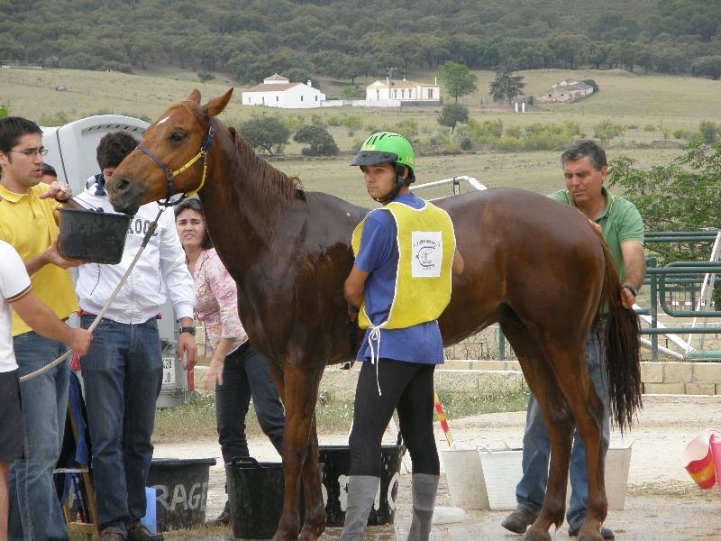 Caceres 53.jpg