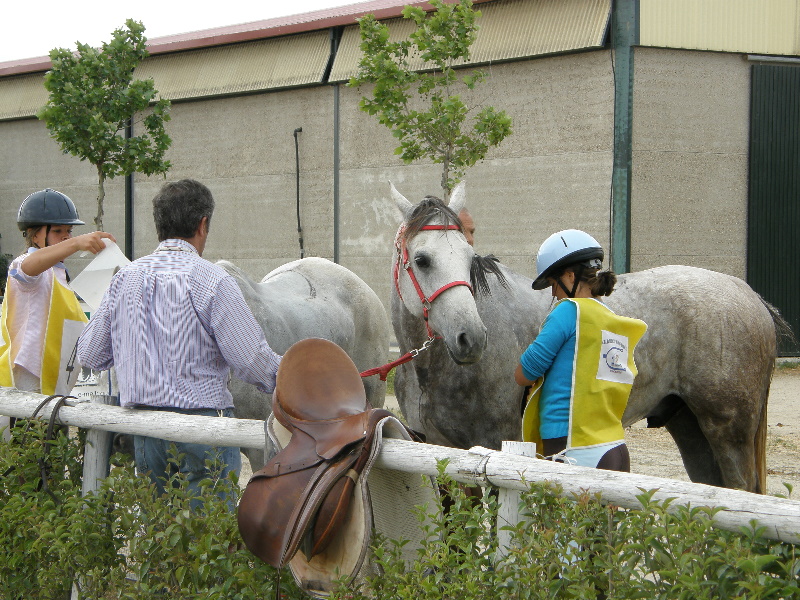 Caceres 59.jpg