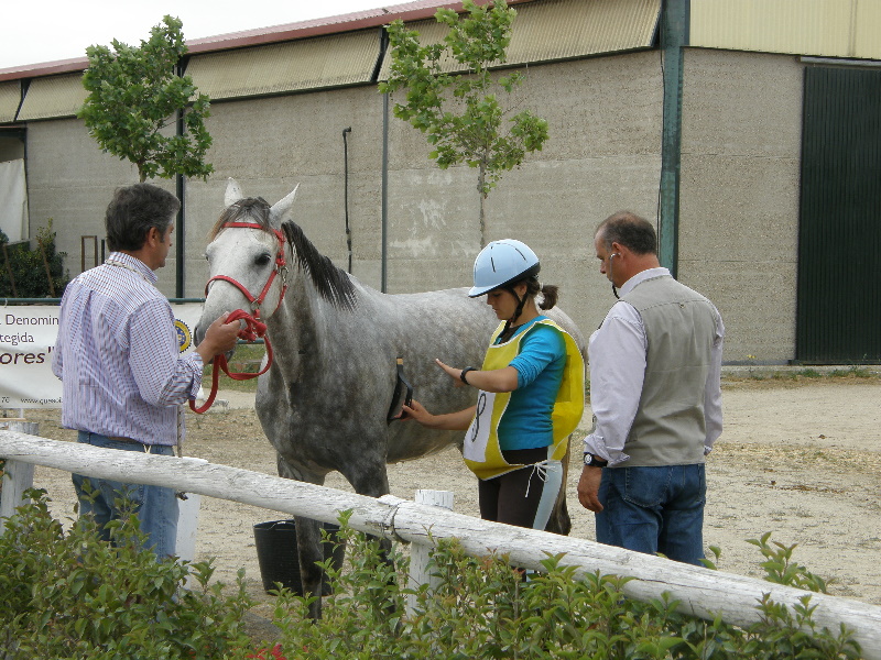 Caceres 63.jpg