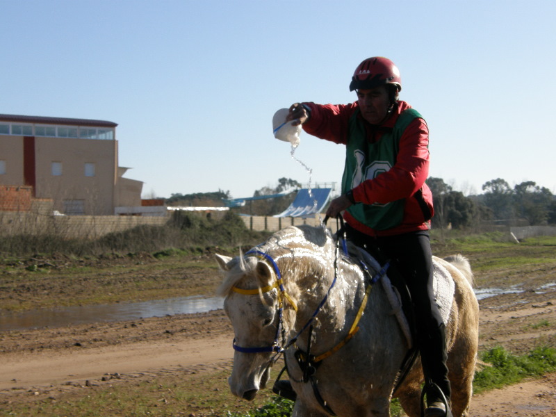 SHL Badajoz 048.jpg